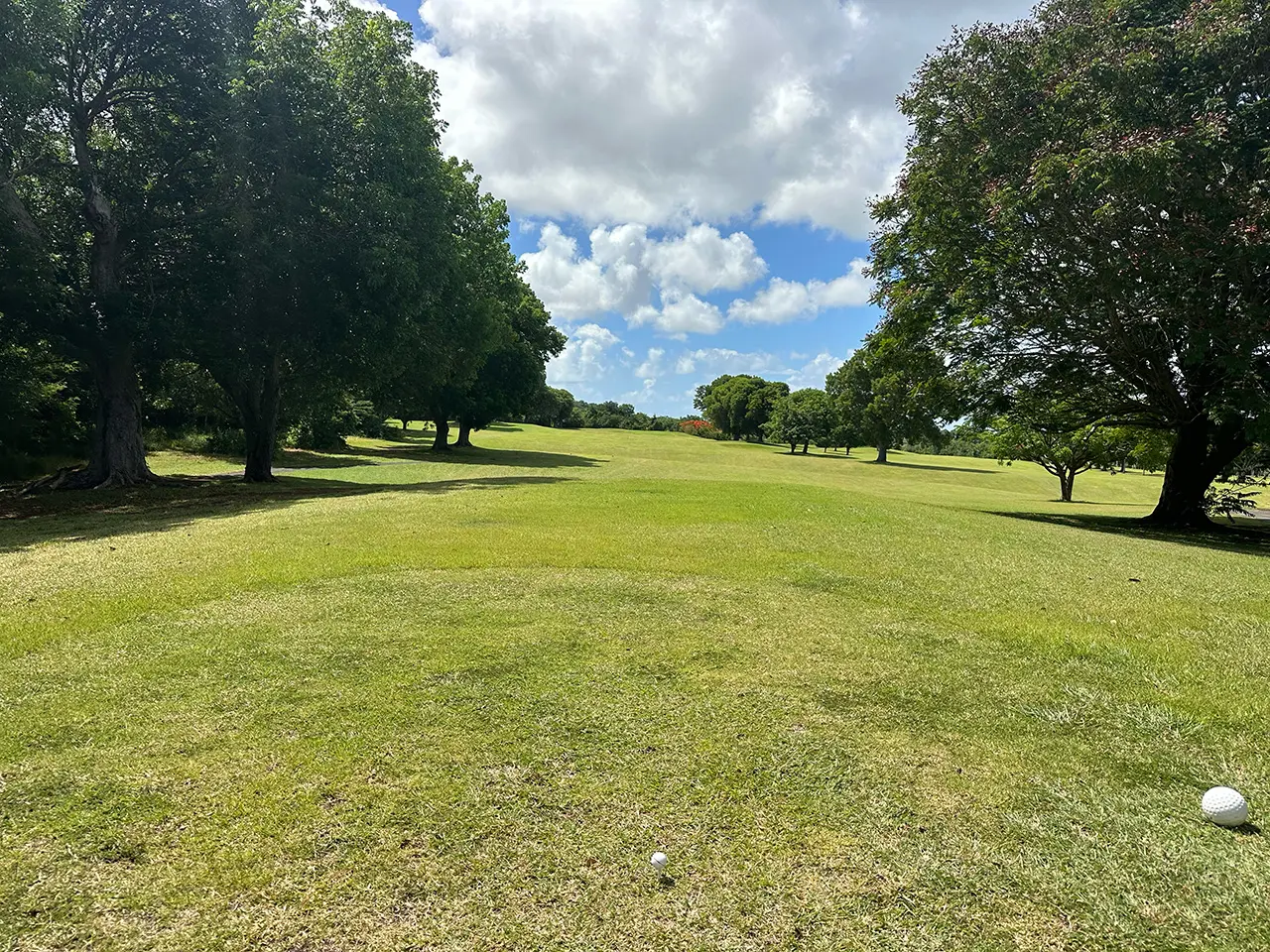 Carambola Golf Club Hole 12 - Strategic par 4 with elevated tee shot