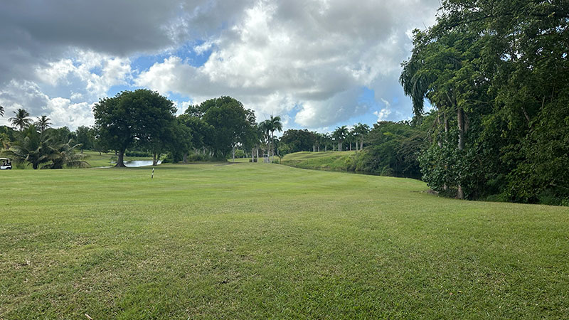 Championship golf hole at Carambola Golf Club featuring oceanfront fairway and tropical landscaping